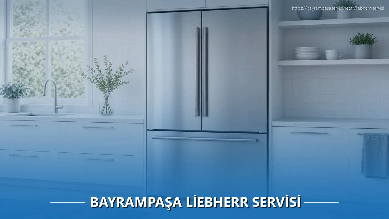 Bayrampaşa Liebherr Servisi
